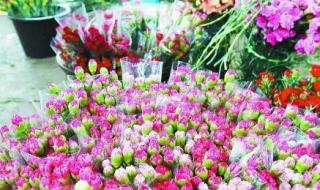 斗南花卉市场在昆明哪个区
