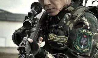 我是特种兵之利刃出鞘16