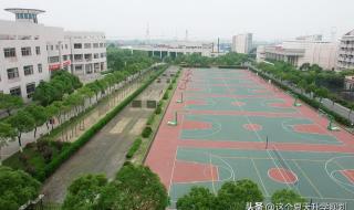 上海海关学院分数线