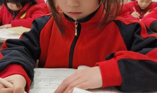 少林寺学校招生收费多少