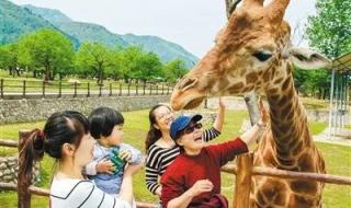 动物园回应私自售卖游客照