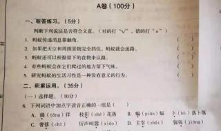 四年级语文期末考试题